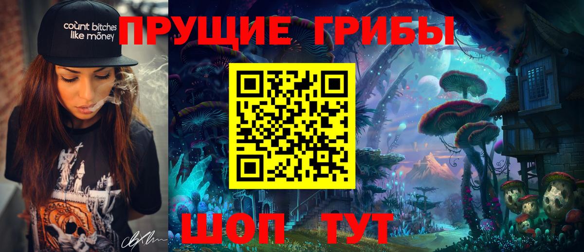 Псилоцибиновые грибы Psilocybe  Вход с VPN  Псилоцибиновые грибы мицелий  Сертолово 